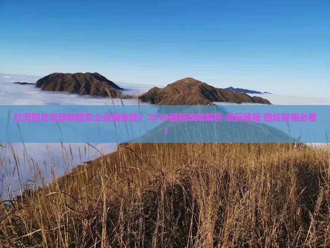 红河到北京动物园哪里玩