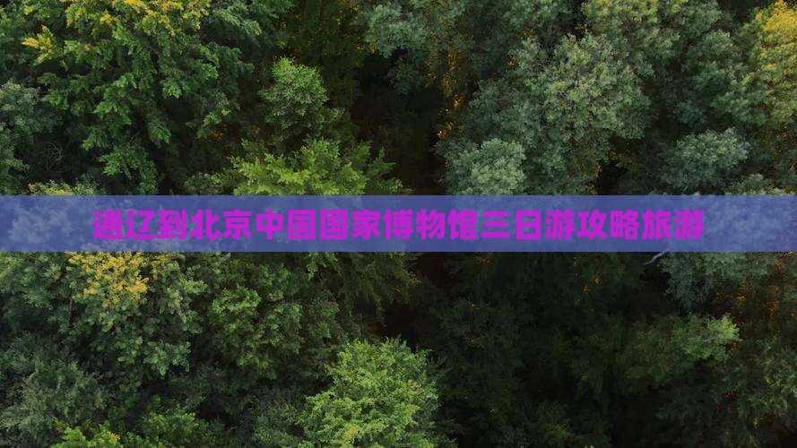 通辽到北京中国国家博物馆三日游