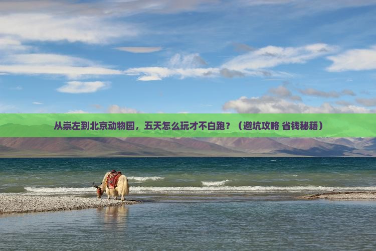 崇左到北京动物园五日游
