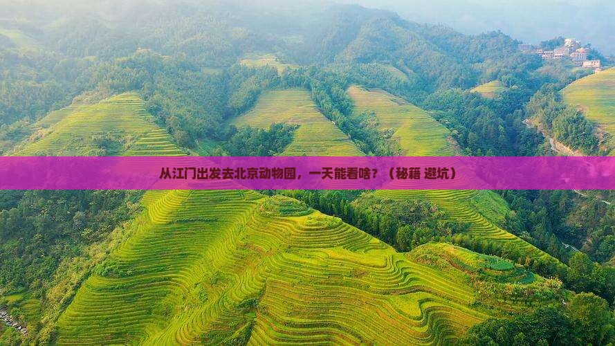 江门去北京动物园一日游