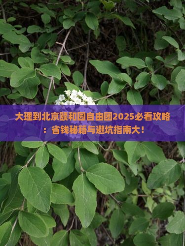大理到北京颐和园自由团