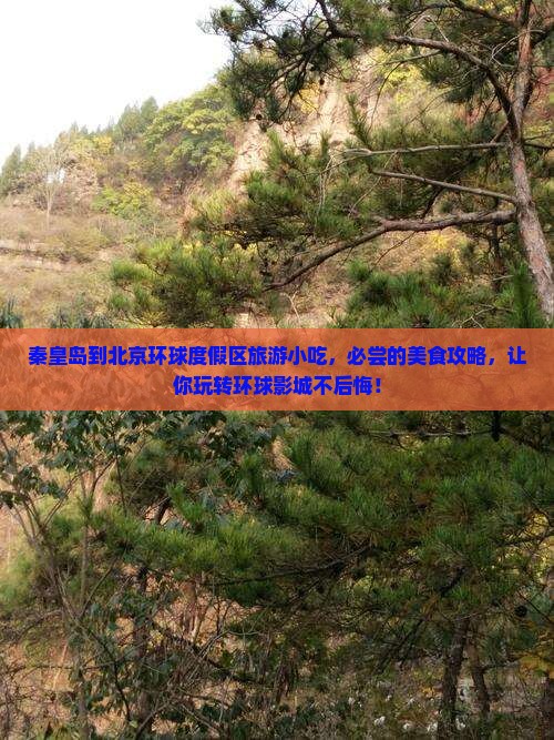 秦皇岛到北京环球度假区旅游小吃