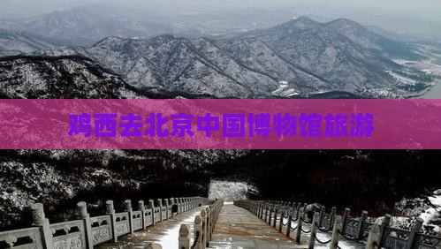鸡西去北京中国国家博物馆旅游