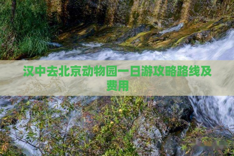 汉中去北京动物园一日游