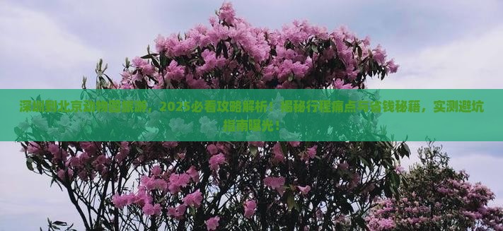 深圳到北京动物园旅游