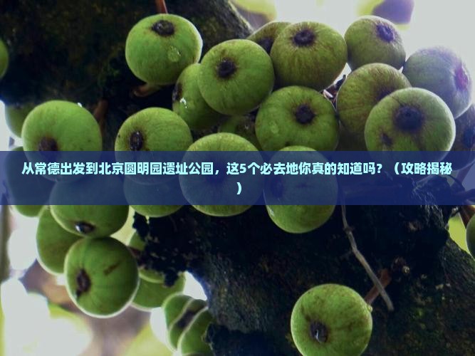 常德到北京圆明园遗址公园必去地