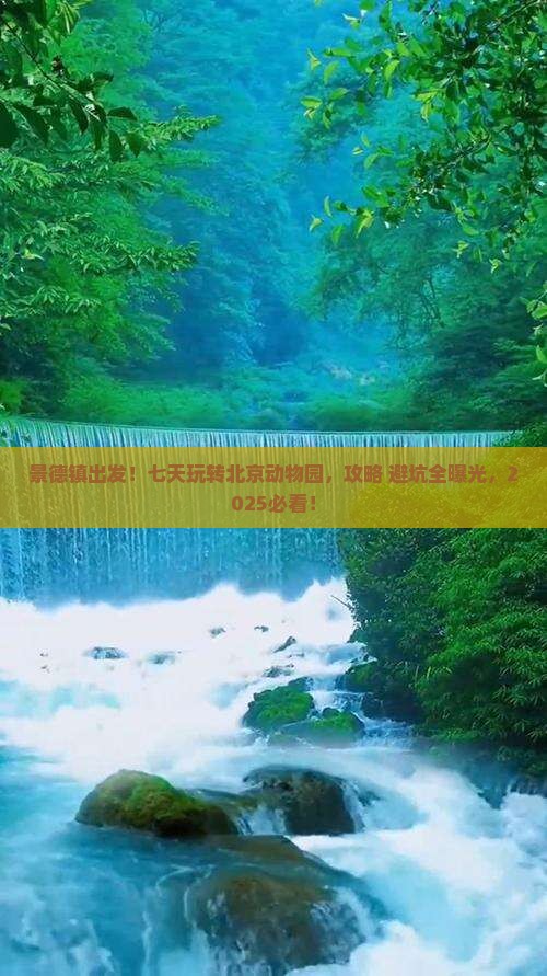 景德镇到北京动物园七日游