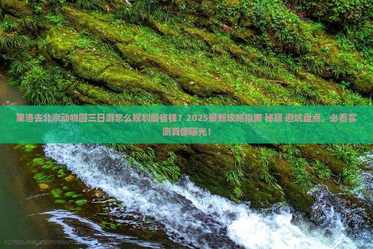 果洛去北京动物园三日游