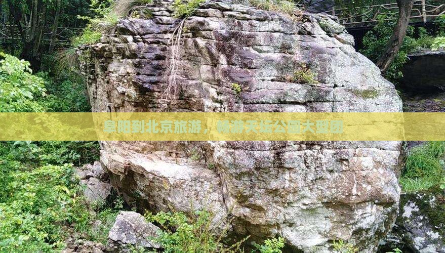 阜阳到北京天坛公园大型旅游团