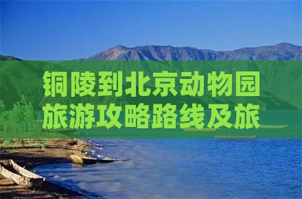 铜陵到北京动物园旅游