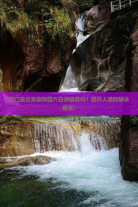 周口去北京动物园六日游
