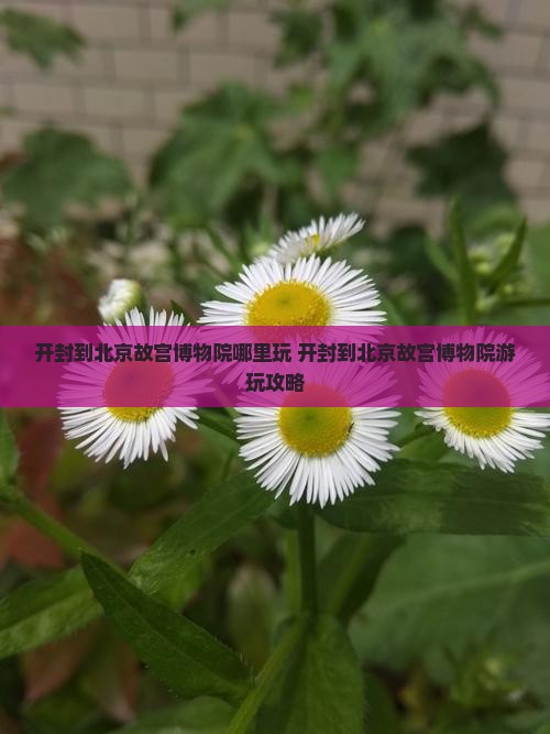 开封到北京故宫博物院哪里玩