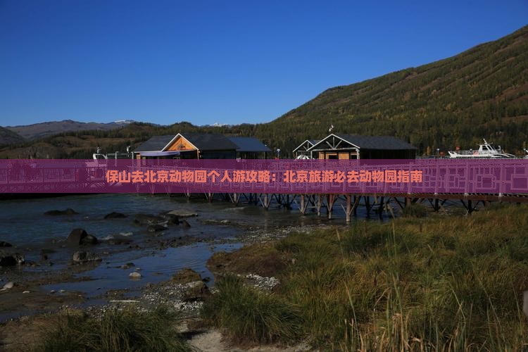 保山去北京动物园个人游