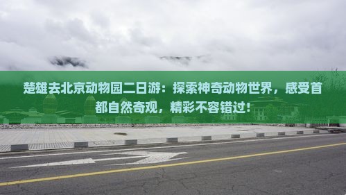 楚雄去北京动物园二日游