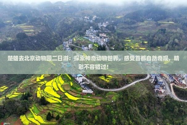 楚雄去北京动物园二日游