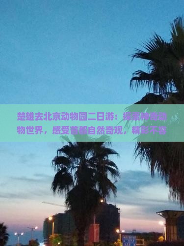 楚雄去北京动物园二日游