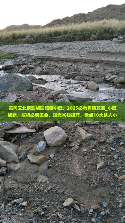 黄冈去北京动物园旅游小吃