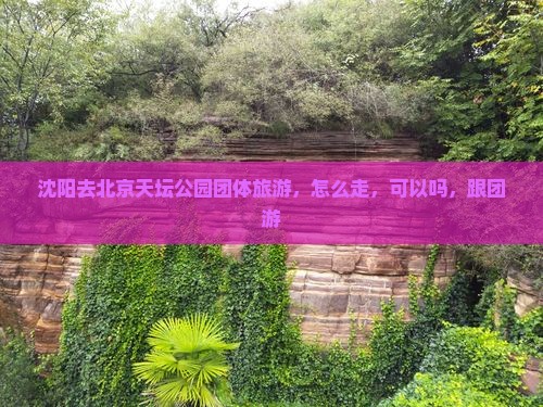 沈阳去北京天坛公园团体旅游