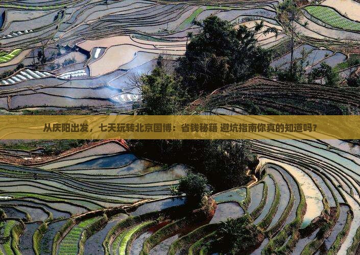 庆阳到北京中国国家博物馆七日游