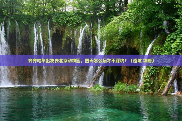 齐齐哈尔去北京动物园四日游