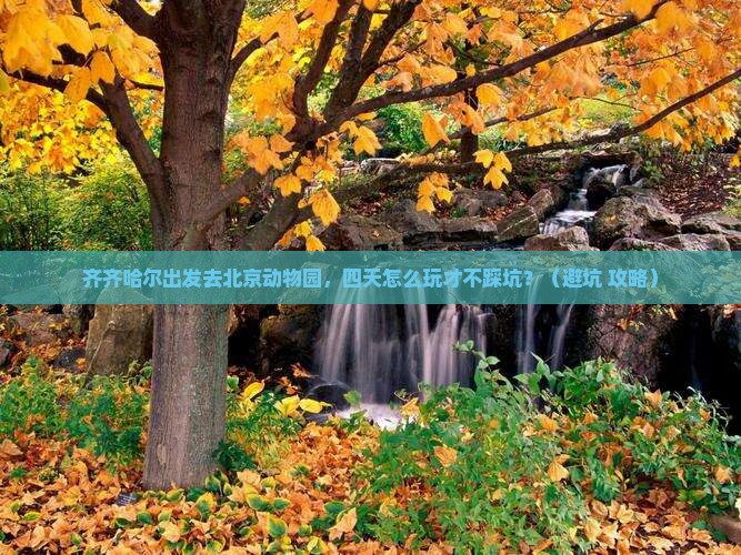 齐齐哈尔去北京动物园四日游