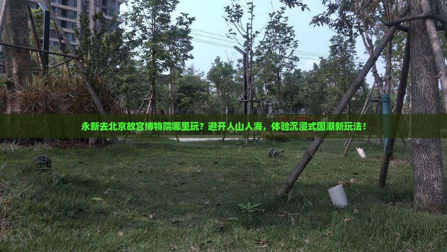 永新去北京故宫博物院哪里玩