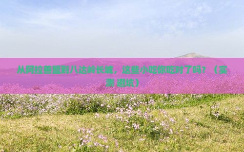 阿拉善盟到北京八达岭长城旅游小吃