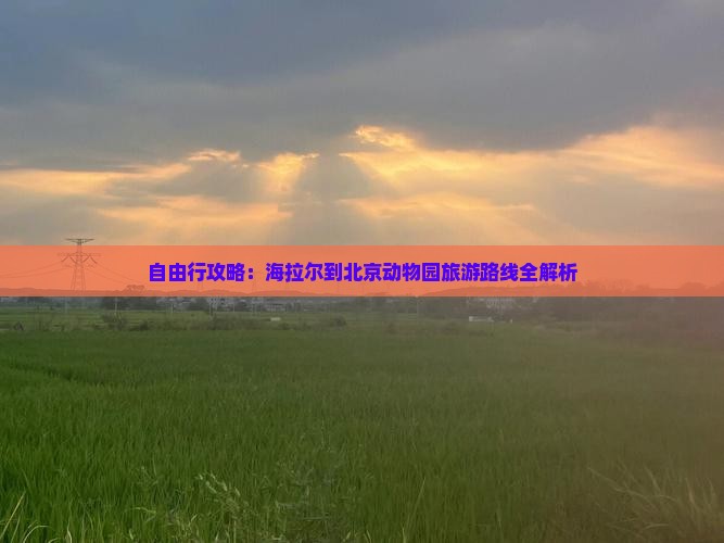 海拉尔到北京动物园自由团