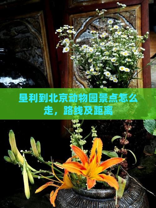 垦利到北京动物园景点