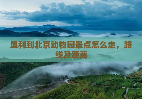 垦利到北京动物园景点
