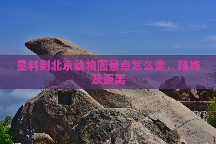 垦利到北京动物园景点