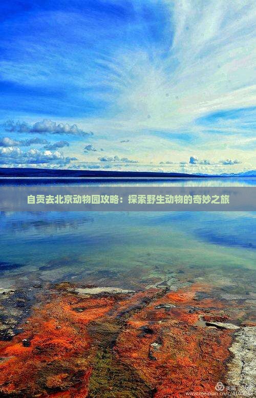 自贡去北京动物园景点