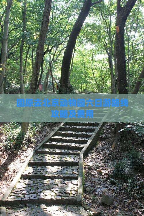 固原去北京动物园六日游