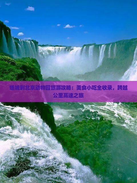 塔城到北京动物园旅游小吃