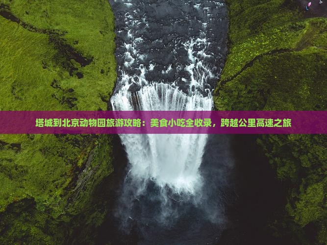 塔城到北京动物园旅游小吃