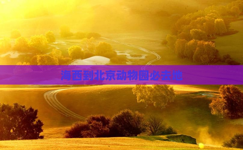 海西到北京动物园必去地