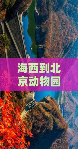 海西到北京动物园必去地