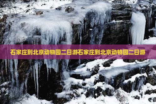 石家庄到北京动物园二日游