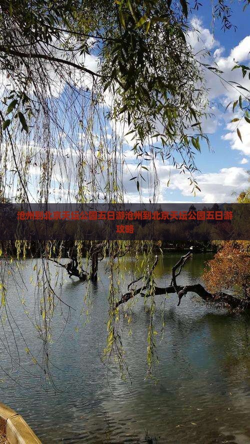 沧州到北京天坛公园五日游