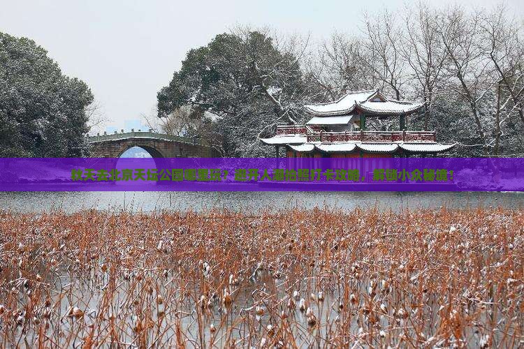 秋天去北京天坛公园哪里玩