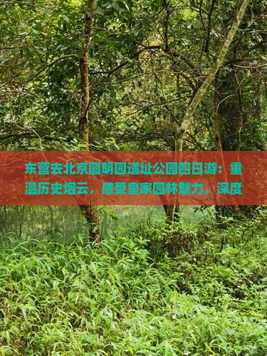 东营去北京圆明园遗址公园四日游