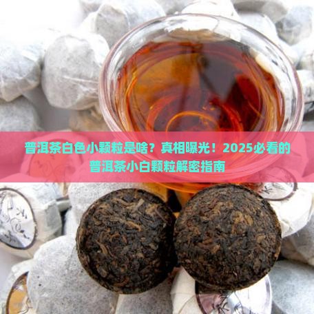 普洱茶白色小颗粒