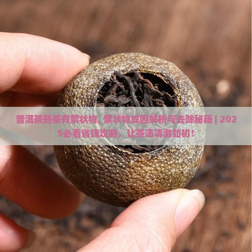 普洱茶熟茶有絮状物
