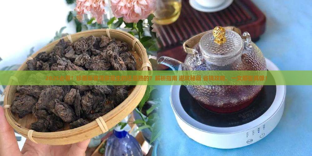 珍藏版普洱茶是生的还是熟的