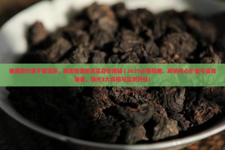 南美茶叶属于普洱茶