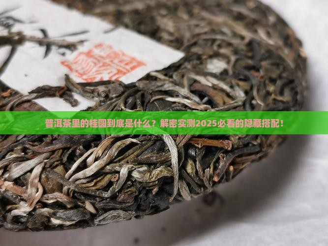 普洱茶里的桂圆
