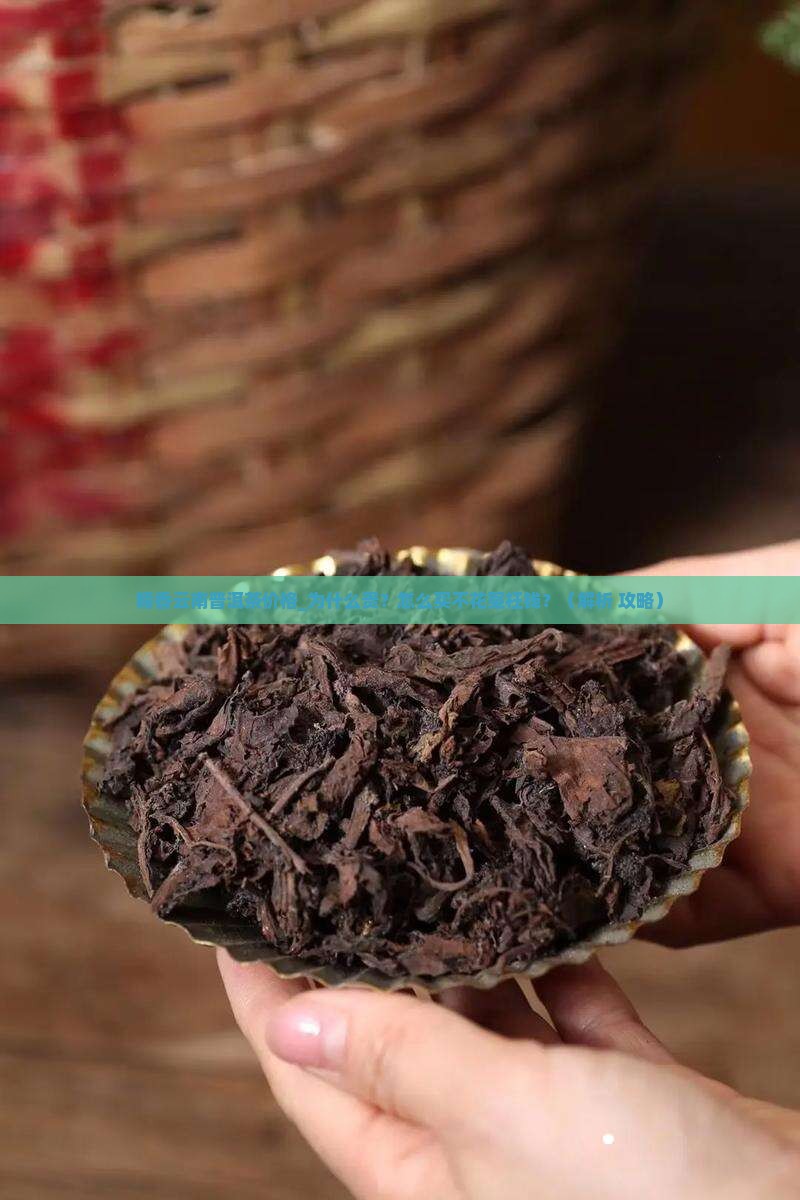 糯香云南普洱茶价格