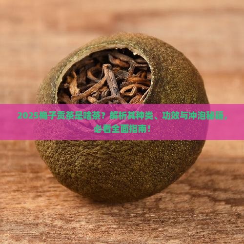 梅子贡茶是什么茶