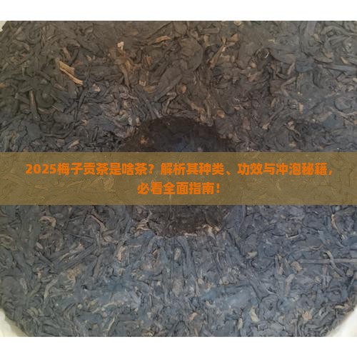 梅子贡茶是什么茶