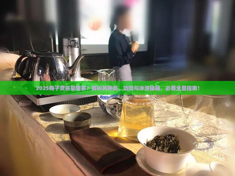 梅子贡茶是什么茶